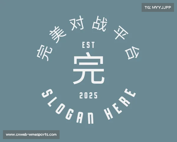 认识完美对战平台